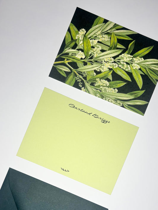 Close-up of Olive Branch stationery showing green leaves and cream blossoms on deep green with a personalized pale green front.