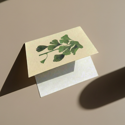 Folded Card - Spring Branch
