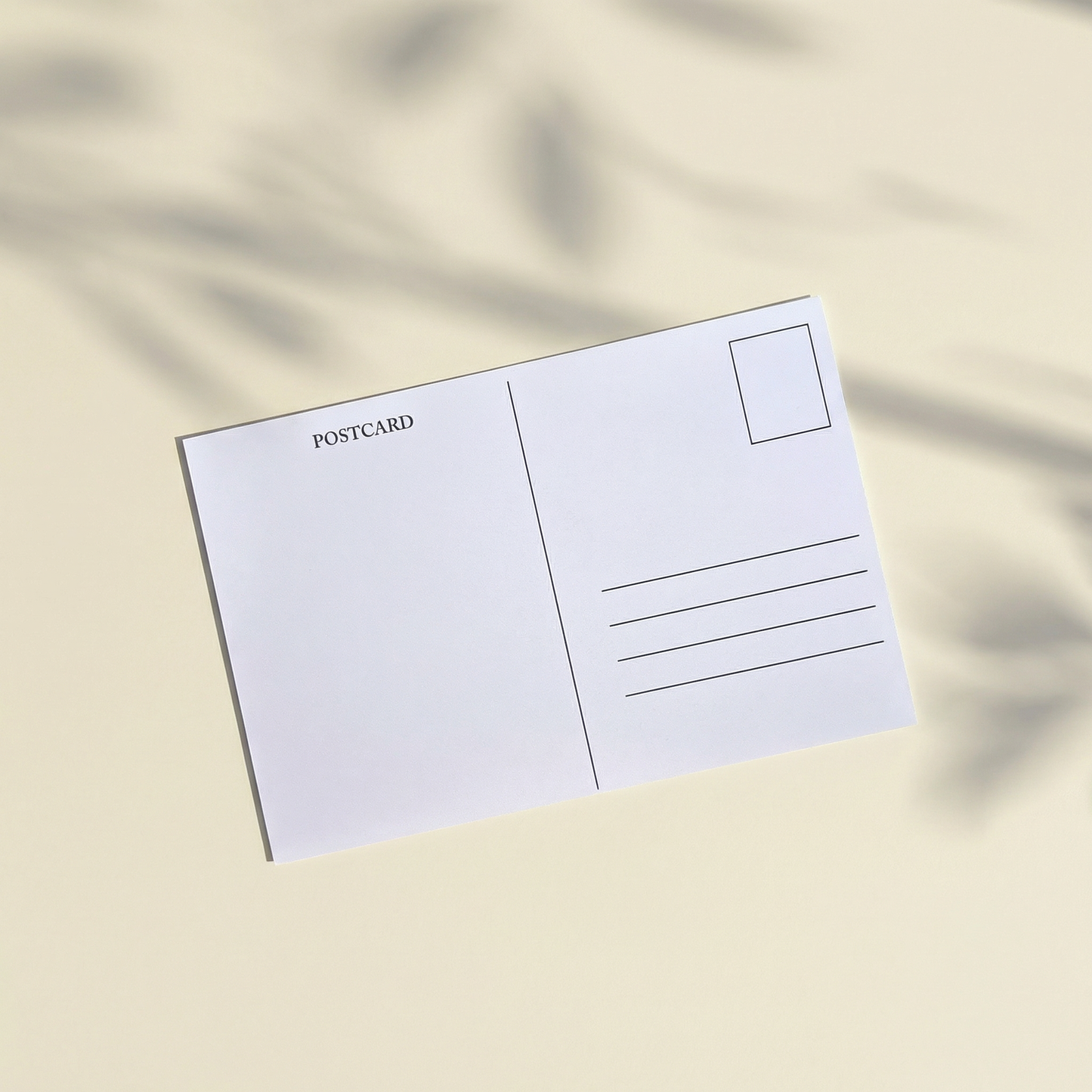 Postcard - Spring Branch