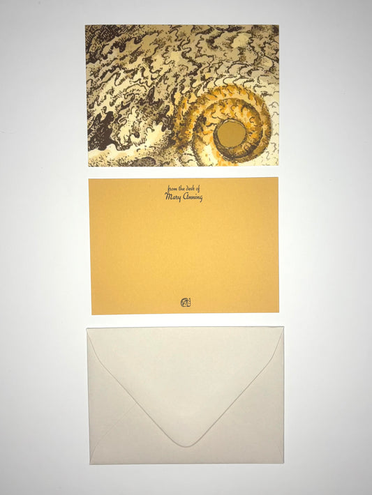 Ammonite stationery set showing a fossil-patterned back, personalized golden yellow front, and cream envelope.