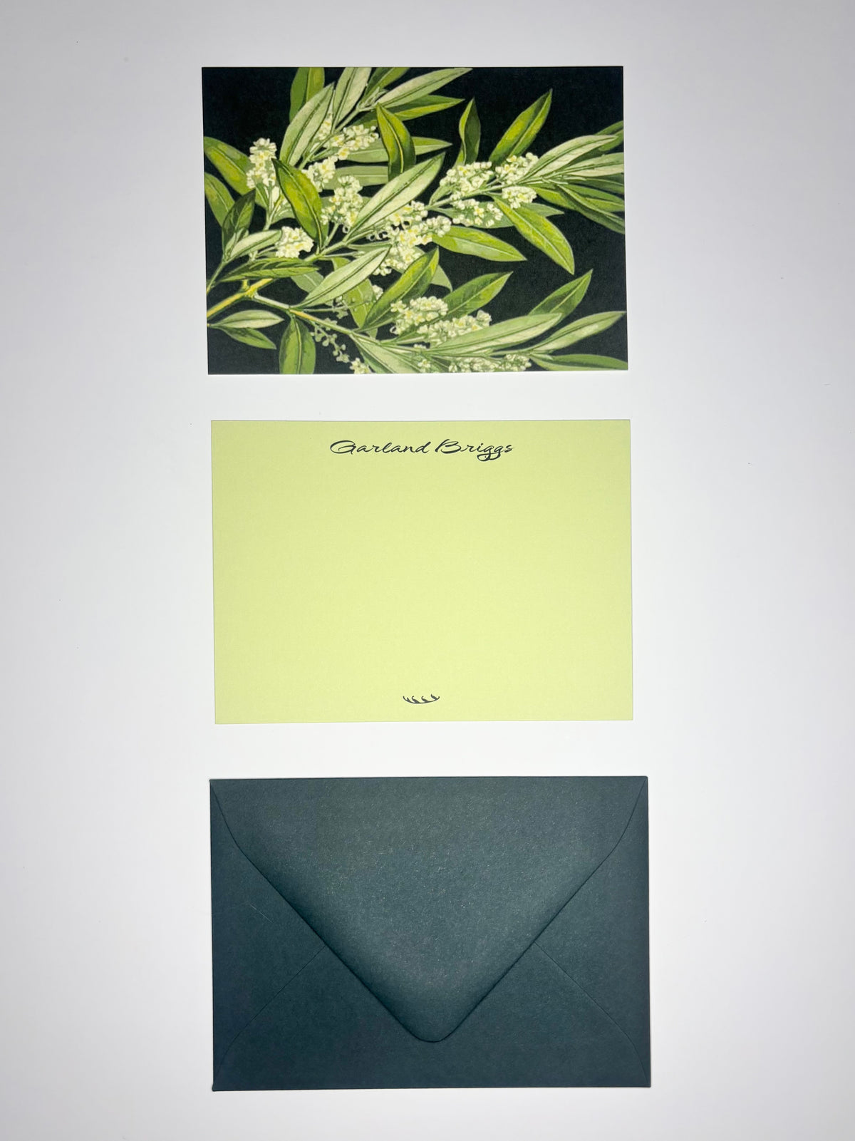 Olive Branch stationery set showing a botanical back, personalized pale green front, and dark green envelope.