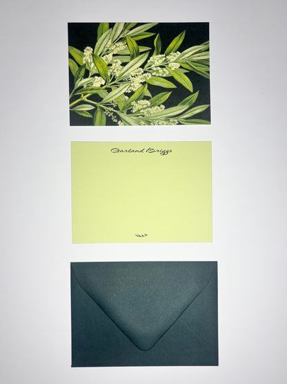 Olive Branch stationery set showing a botanical back, personalized pale green front, and dark green envelope.