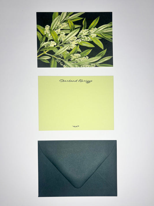 Olive Branch stationery set showing a botanical back, personalized pale green front, and dark green envelope.