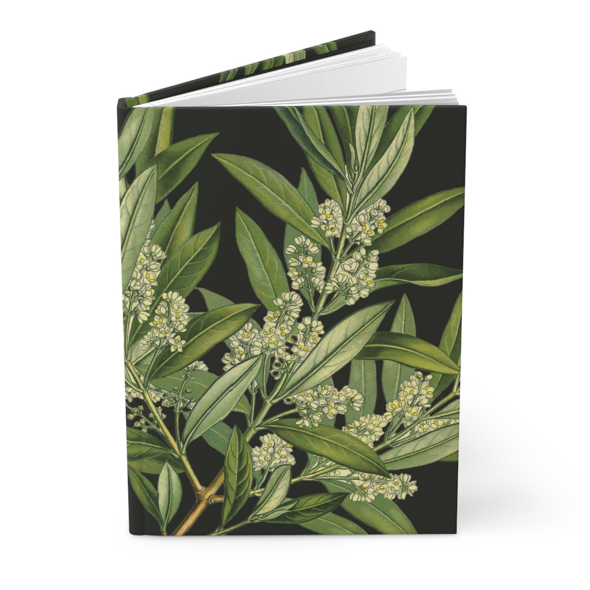 Olive Branch hardcover journal standing partly open, showing its botanical cover.