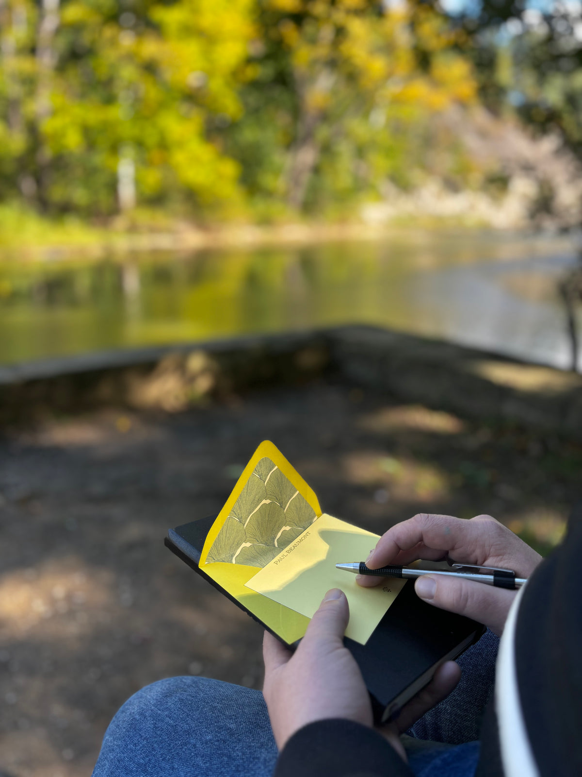 Person writing on a yellow Living Fossil notecard outdoors beside water, with its ginkgo-lined envelope behind it.