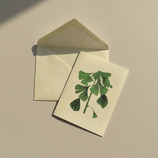 Folded Card Set - Spring Branch