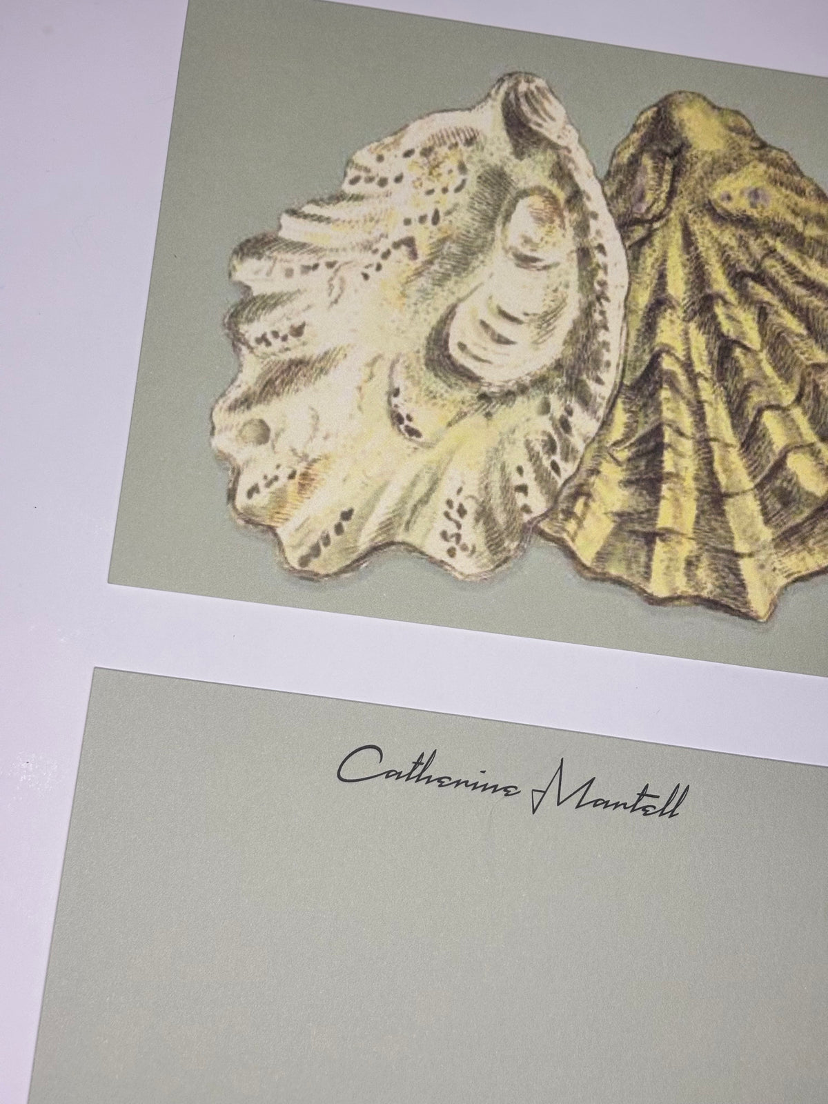 Close-up of Oyster Shells stationery showing two illustrated shells on sage green and a personalized pale green writing side.