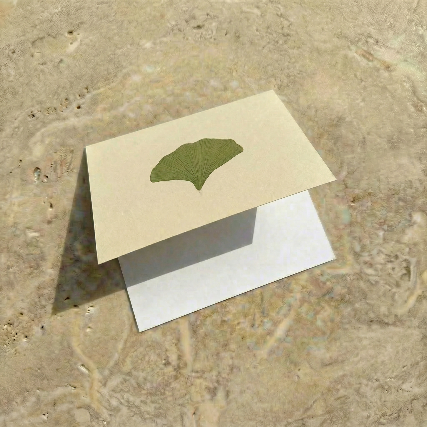 The Everyday Correspondence Set