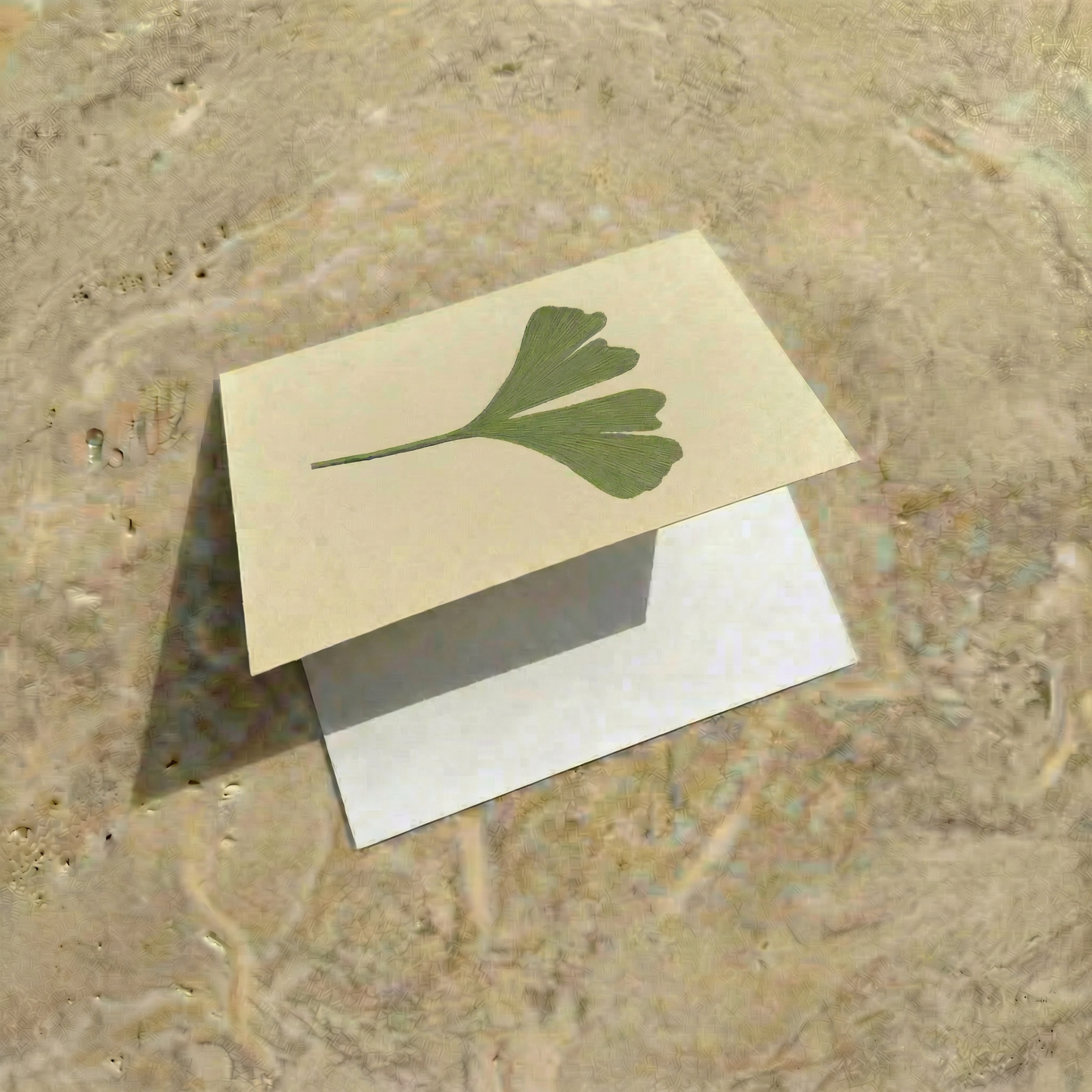 The Full Correspondence Set