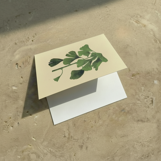 Folded Card Set - Spring Branch