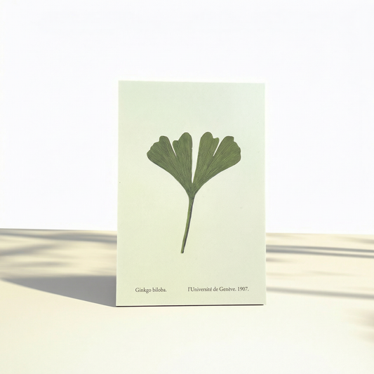 Postcard - Summer Leaf