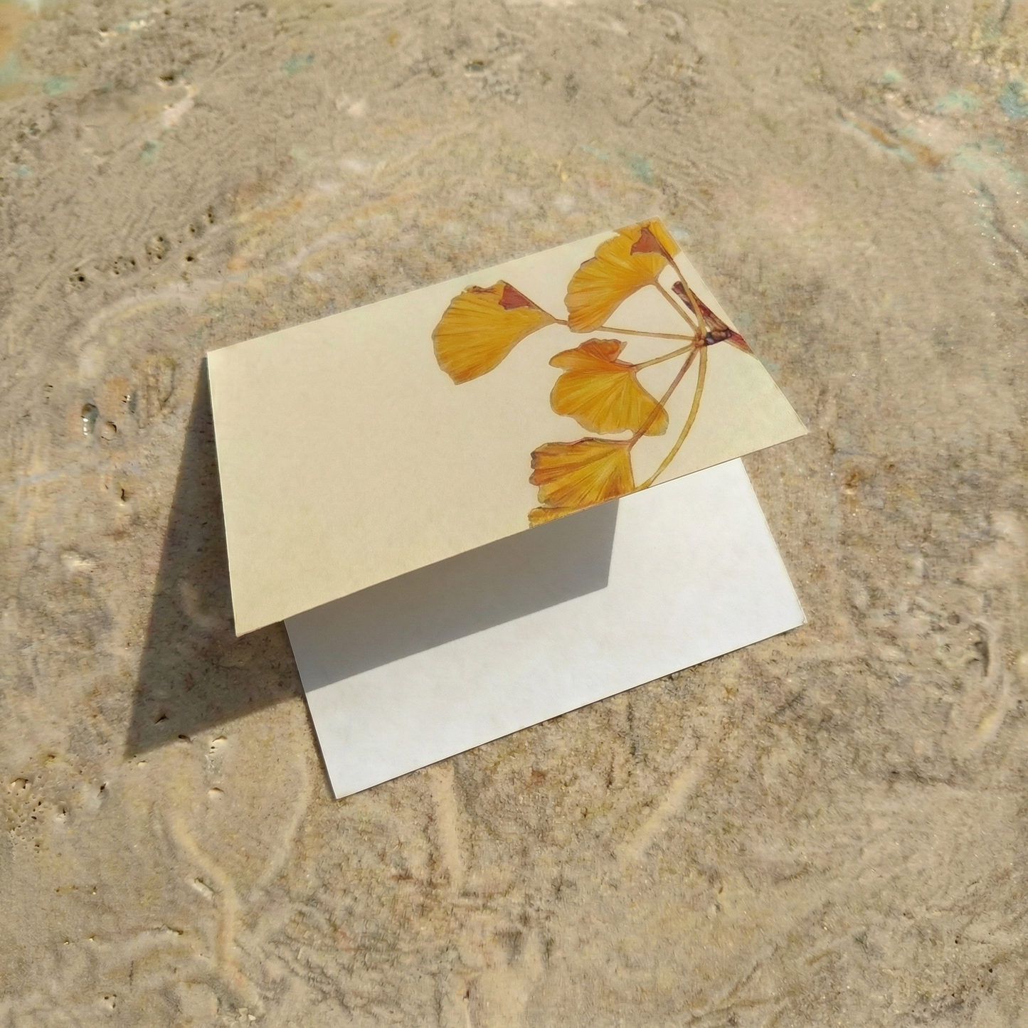 The Full Correspondence Set